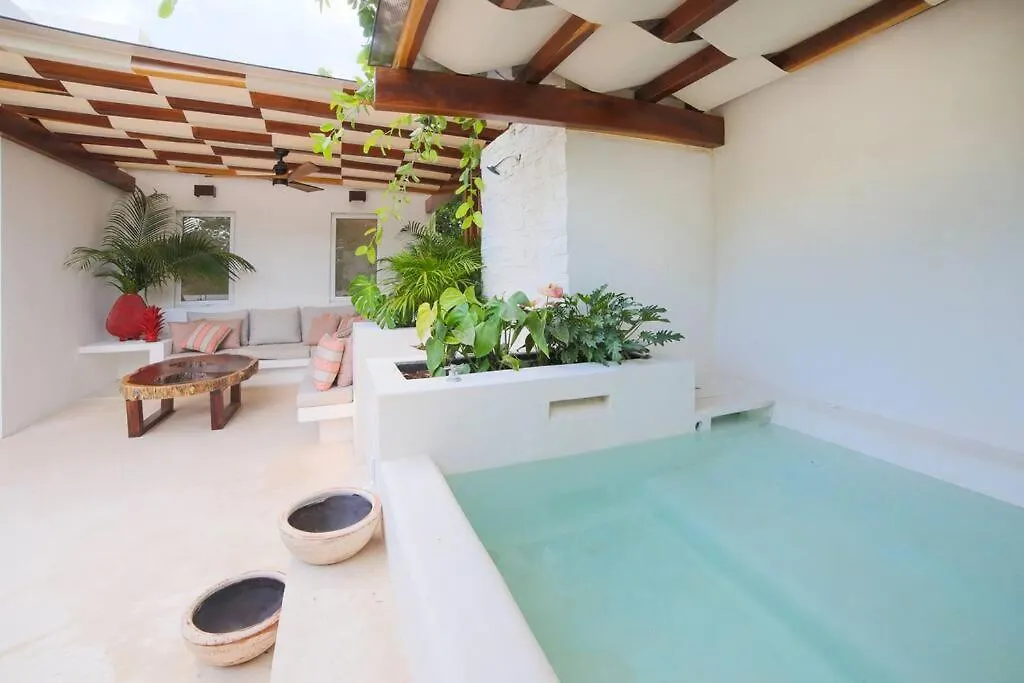 Estrena Espectacular Villa, Piscina Xl Y Jacuzzi Tulum Villa