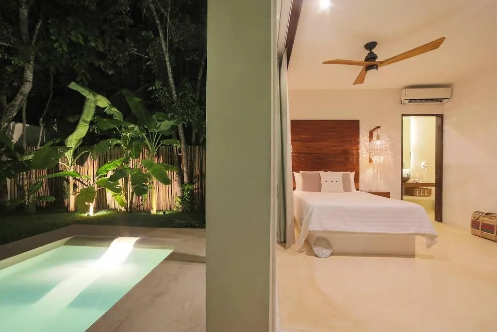 Estrena Espectacular Villa, Piscina Xl Y Jacuzzi Tulum Mexico